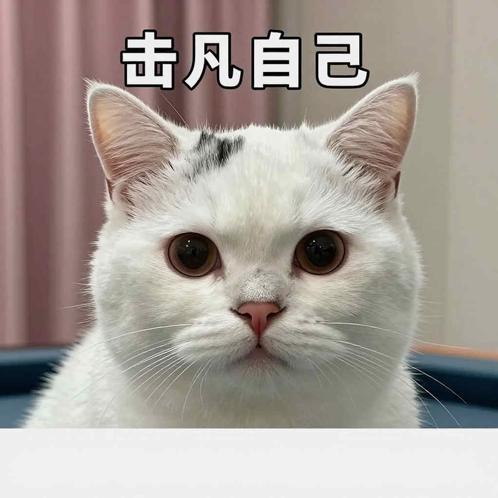 PUBG PC in Vietnam: No License, No League, and a PVS 2026 Left Hanging PUBG PC in Vietnam: No License, No League, and a PVS 2026 Left Hanging